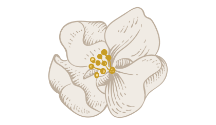 Illustrated white flower symbolizing hope and renewal.